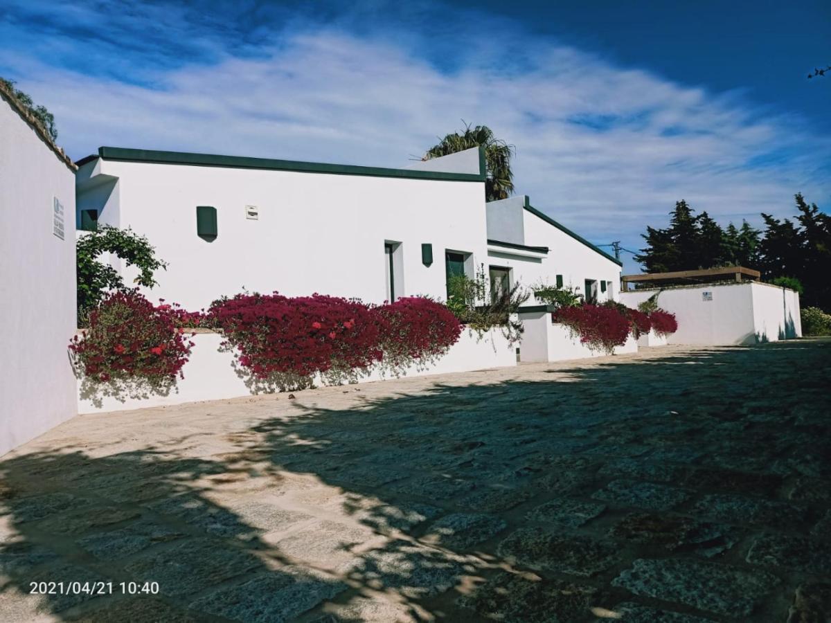 Falsa Pimienta - Solo Familias Y Parejas Conil De La Frontera Exterior photo